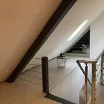 Cocoon Loft Κολμάρ