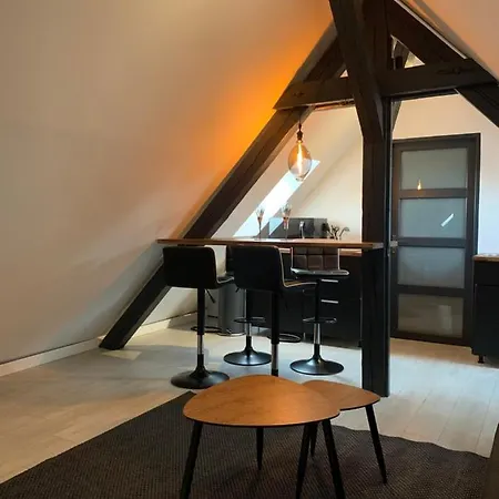 Cocoon Loft Colmar