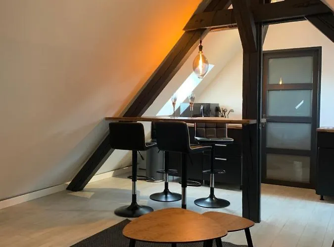 Cocoon Loft Colmar