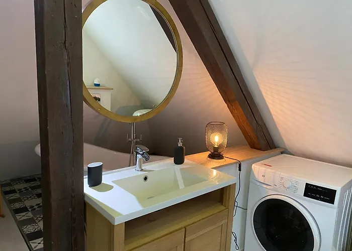 Cocoon Loft * Colmar